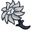 hollow knight endeuillée grise|Fleur Délicate .